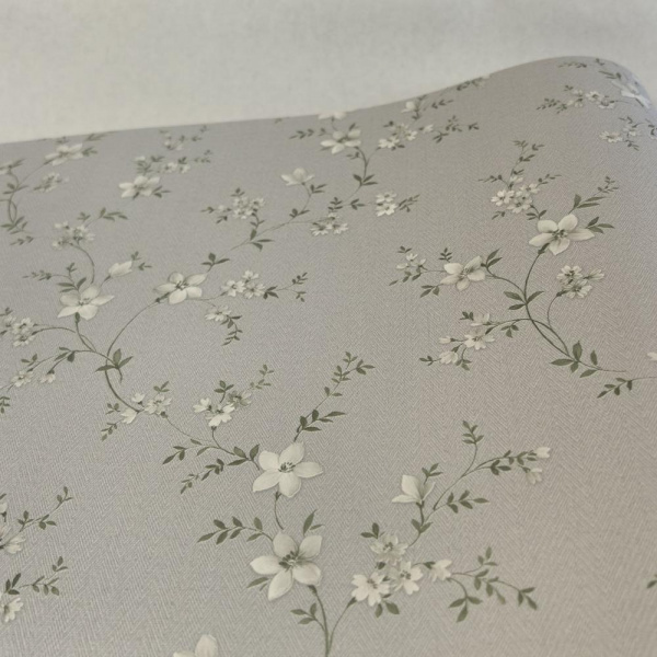 Alessandro Allori Bruni RBN 1001-3 Alessandro Allori Bruni RBN 1001-3