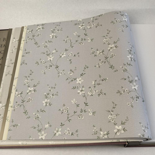 Alessandro Allori Bruni RBN 1001-3 Alessandro Allori Bruni RBN 1001-3