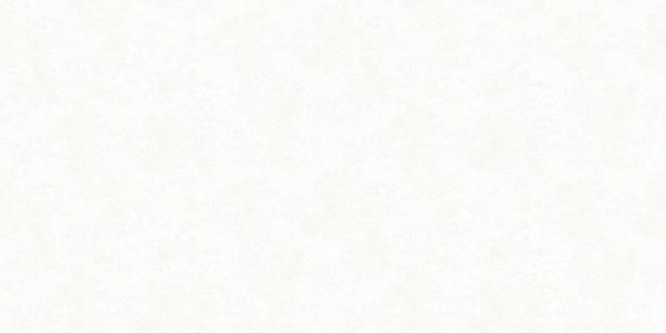 A. Grifoni Palazzo Ragione 7025-2