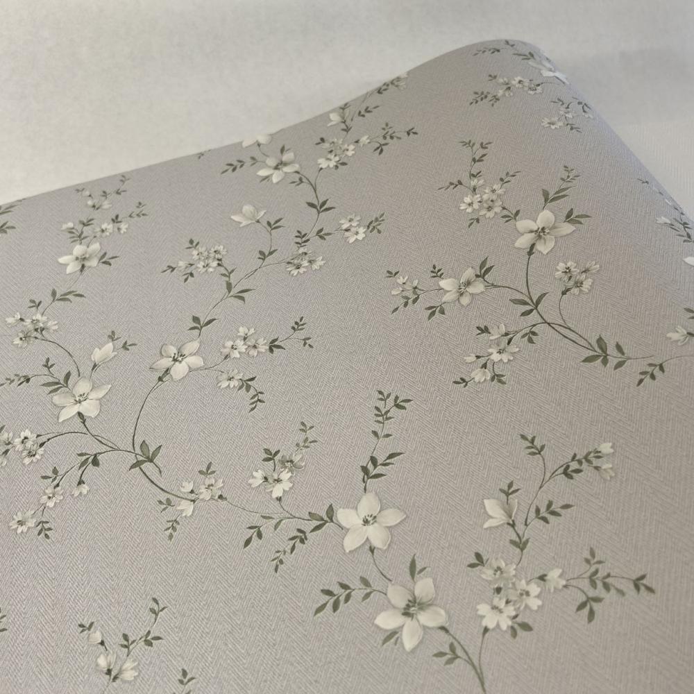 Alessandro Allori Bruni RBN 1001-3 Alessandro Allori Bruni RBN 1001-3