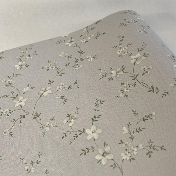 Alessandro Allori Bruni RBN 1001-3 Alessandro Allori Bruni RBN 1001-3