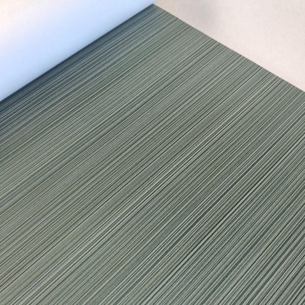 Andrea Rossi Cavolli 54425-8