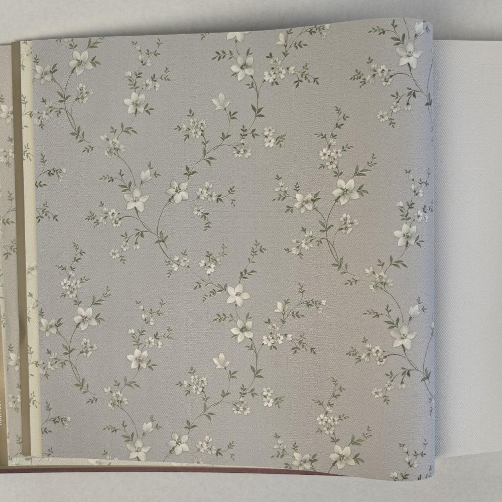 Alessandro Allori Bruni RBN 1001-3 Alessandro Allori Bruni RBN 1001-3