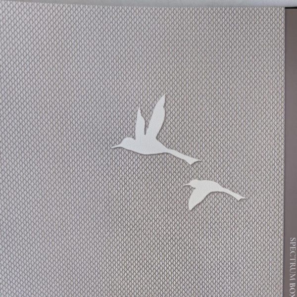 Andrea Rossi Spectrum Box 54458-11