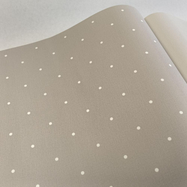 Andrea Rossi Spectrum Box 54454-5