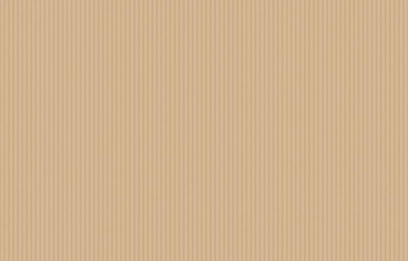 Loymina Shade SD5 002_1